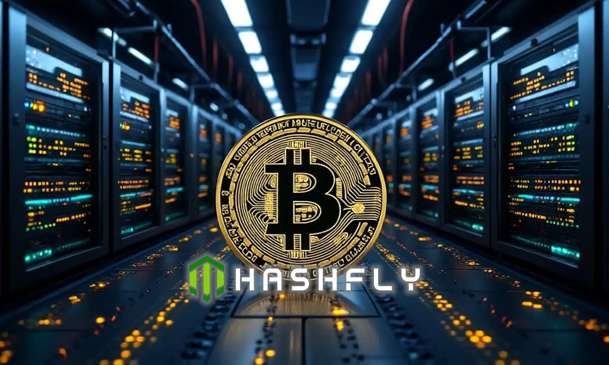 cloud mining hashfly