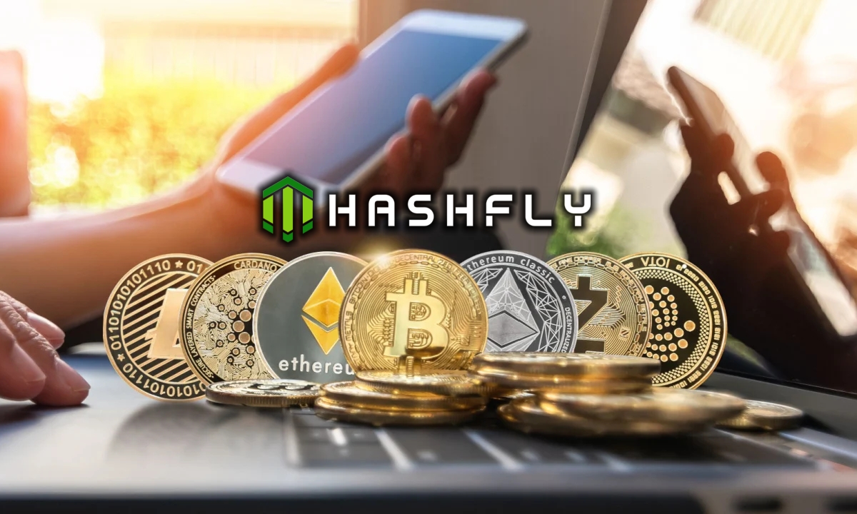 hashfly mining